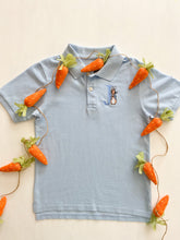 Load image into Gallery viewer, Peter Rabbit Polo