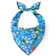 Load image into Gallery viewer, TFD x Simplified® Bees in Bloom Dog Bandana
