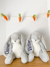 Load image into Gallery viewer, Personalized Bunny
